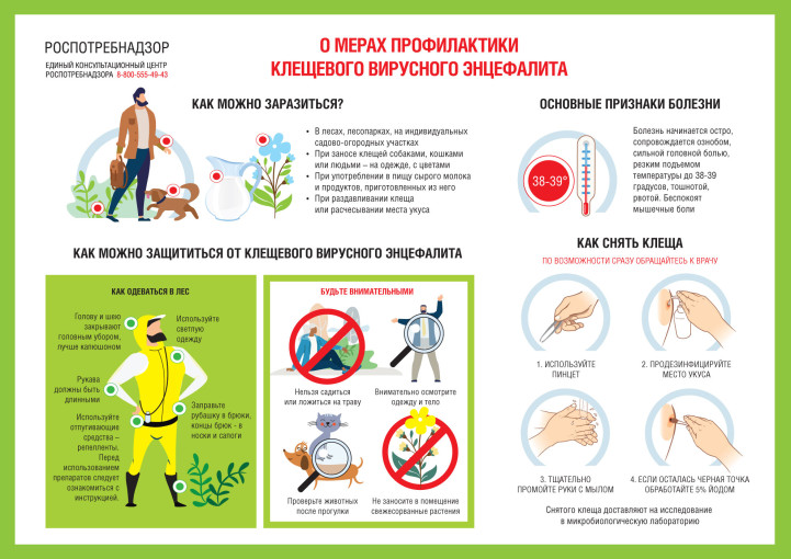 Клещевой энцефалит, мал но опасен Клещевой энцефалит, мал но опасен.